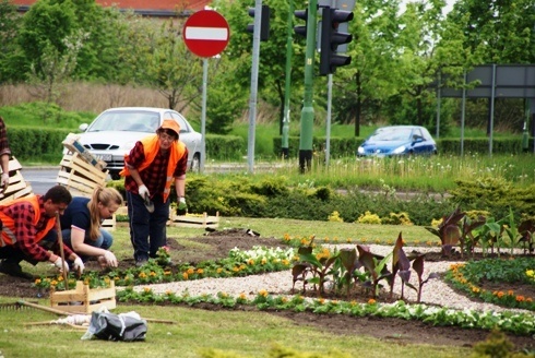  Rozpoczęły  się letnie nasadzenia. Ponad 40 tysięcy kwiat&oacute;w upiększy niebawem miasto